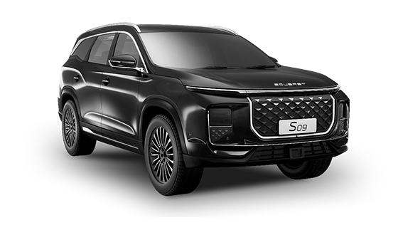 Soueast S09 2.0 AMT Comfort Plus