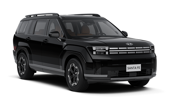 Hyundai Santa Fe 2024 2.5 T-GDI+MPI DCT 4WD Calligraphy