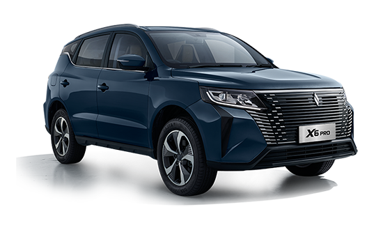 Livan X6 Pro 1.5 T DCT Flagship